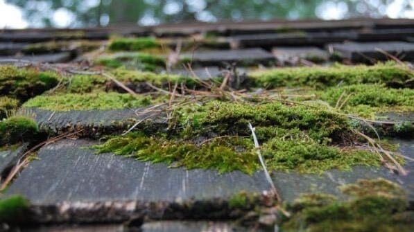 ROOF CLEANING