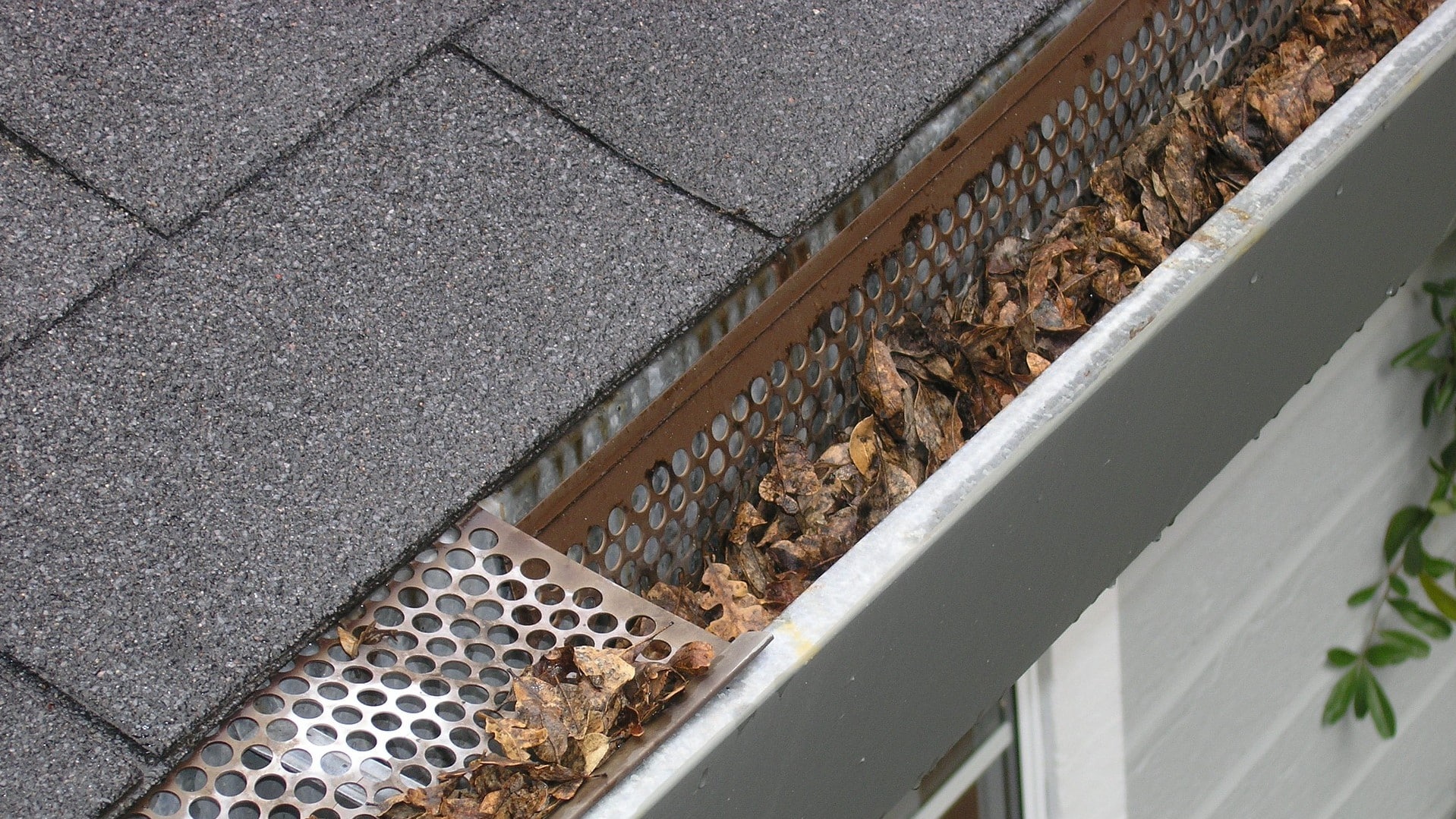 Gutter and gulley cleaning